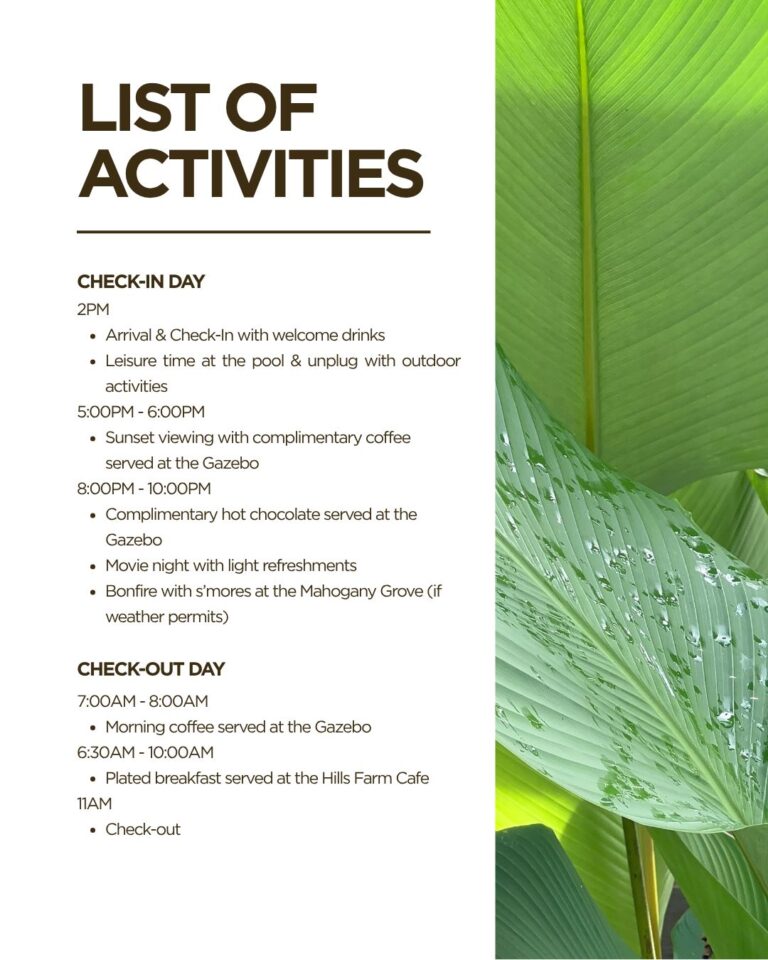 yuletide 4 activities